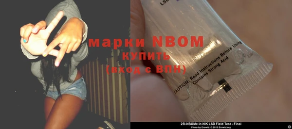 шишки Верхний Тагил